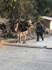 Journey into mountains for wood